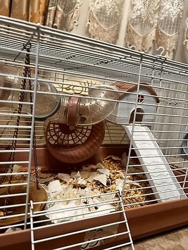 ev sicani: Hamster üçün geniş və funksional qəfəs dəsti - Material: metal — 3