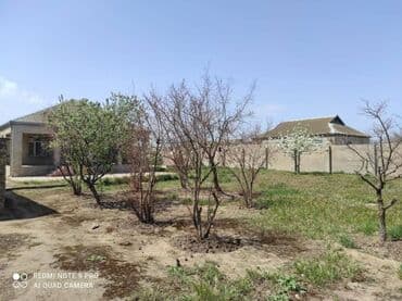 20 ci sahe kiraye evler 2024: 4 otaqlı, 95 kv. m, Orta təmir — 19