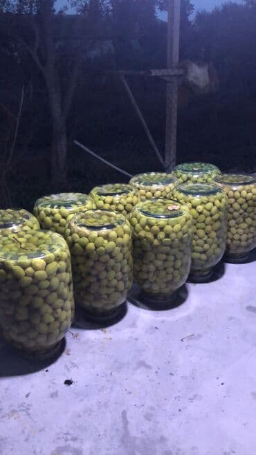 Teze konservlenmiş zeytun, 10 manat 3 kiloluk bankada lalafo.az -da Teze konservlenmiş zeytun, 10 manat 3 kiloluk bankada