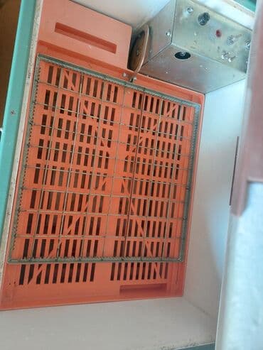 inkubator aparati satilir: 100 яиц, Россия, Заводское производство, Полностью автоматическая, Для всех видов птиц — 2