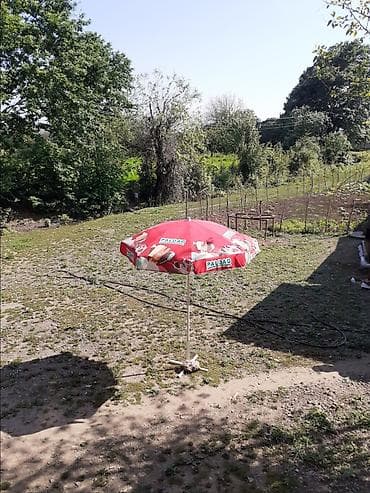 həyət işıq: Açıq hava üçün reklam çətiri – “PALDAD” brendlə - Çaplı, parlaq — 1