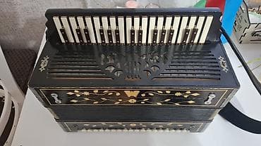 10 cent nece manatdir: Akustik Akkordeon — 1