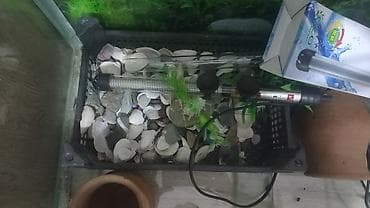 deniz qurdu satisi: Dördbucaq akvarium, Boş, 135 l, Ünvandan götürmə — 4