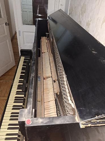 gitara simleri: Piano, Kuban, Akustik — 1