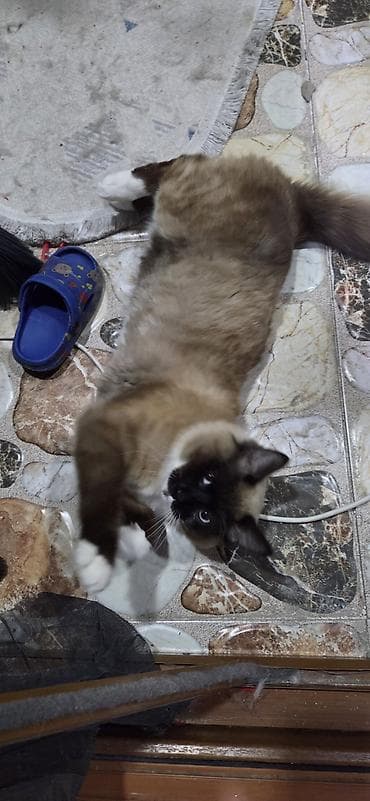 Erkək, Yaxşı əllərə, Ünvandan götürmə