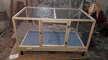 Gəmiricilər: Teze yixilma boyuk olculu qefesler.alti padnoslu ve yerden — 2