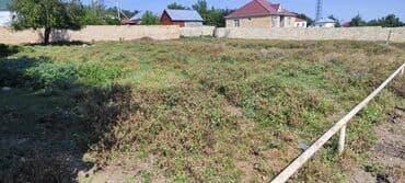 земля в аренду под строительство: Tikinti, Mülkiyyətçi, Kupça (Çıxarış) — 8