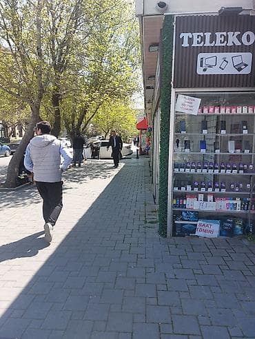 28 may m yanında telefon maqazində şöbə arendaya — 5