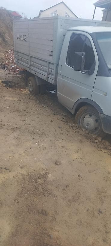 K/t heyvanları və malları: Satış üçün: Qoyun-quzu və buzovlar - Ana qoyun balası ilə birlikdə — 10