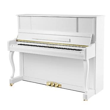 Piano akustik te300 conrad graf. Eksklüziv qaydada rəsmi