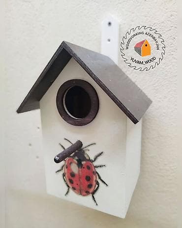 Digər heyvanlar: Quş yuvası — 9