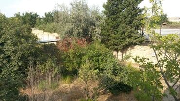 ev certiyojları: Novxanı 2 otaqlı, 250 kv. m, Orta təmir — 5