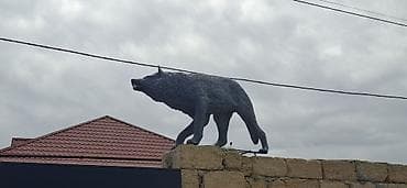 amerika azerbaycan saat ferqi: Fiqur — 5