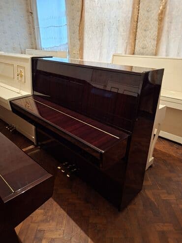 Kəsici disklər: Piano, Belarus, Akustik, Yeni, Pulsuz çatdırılma — 1