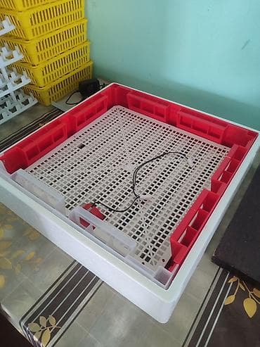 Tam avtomat — 3
