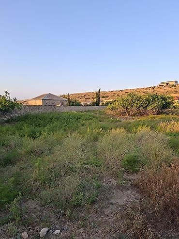 Torpaq sahələrinin satışı: 24 sot, Tikinti, Makler, Kupça (Çıxarış) — 3