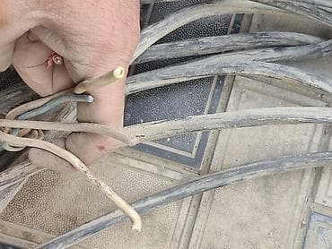 Divar kağızları, oboy: Elektrik kabelləri dəsti - Qara kabel: özünüdaşıyan izolyasiyalı xətt — 6