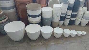 çöl bitkiləri: Dibcek dibcek qabi kvadrat gul qabi kvadrat cicek qabi kvadrat Dibcek — 15