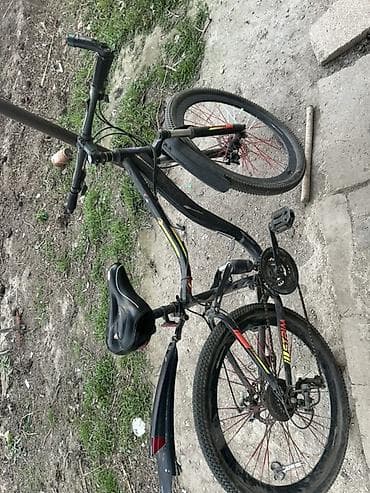 velisoped: Şəhər velosipedi Strim, 24" — 1