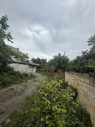 sumqayit heyet evleri 2018: 25 соток, Собственник, Купчая — 7