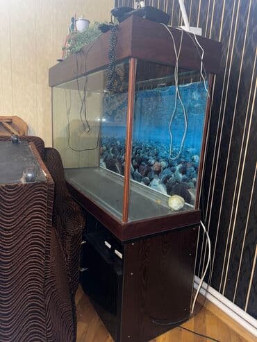 Akvariumlar boyuk-400.Balaca-300