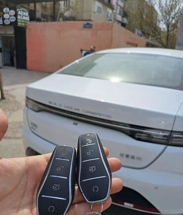 ремонт карбюратора: BYD BYD, Çin, Yeni — 1