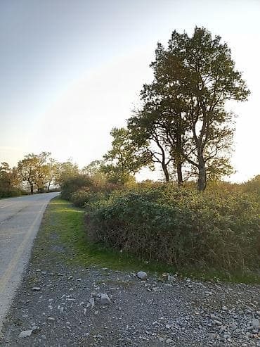 Продажа участков: Для сельского хозяйства — 1