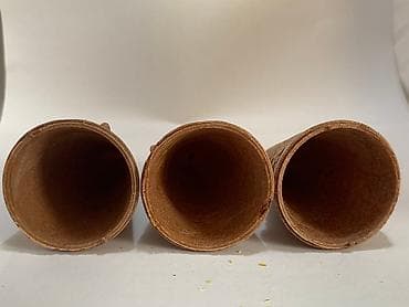 Otaq bitkiləri: Salam Əziz Dondurma Sevənlər Mövsüm gəlişi ilə Dondurma Sevənlər üçün — 9