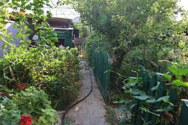 qutqaşınlı küçəsi: 6 otaqlı, 300 kv. m, Orta təmir — 13