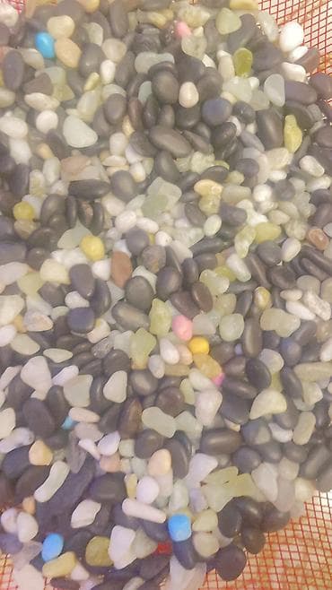 akvarium aksesuarlari: Akvariumlar — 4