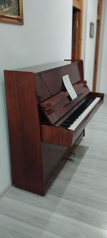 Piano, Belarus, Akustik