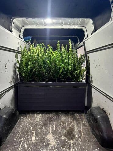 dibcek gullerinin adlari: Bu taxda dipçekin ölçusu 100x30x55 Bu standart alinan ölçudur — 16