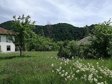 qusar gunluk evlər: Qəbələ rayon Vəndam qəsəbəsində 8sot torpaq satılır,hər tərəfi dağ — 4