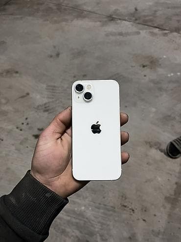 IPhone 13, Ağ
