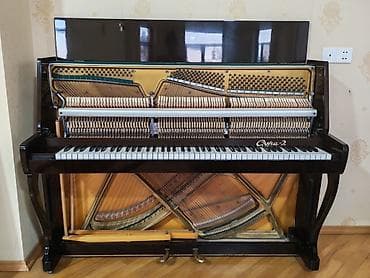 real gitara: Piano, Akustik, Yeni, Ünvandan götürmə — 3