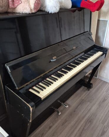 Пианино: Пианино, Акустический — 3