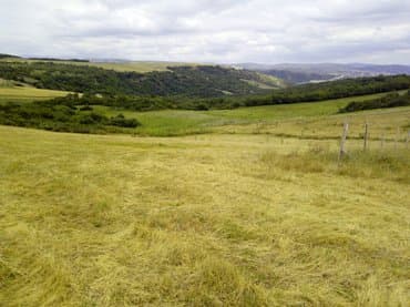 ersag com az: 300 соток, Для сельского хозяйства, Собственник — 6