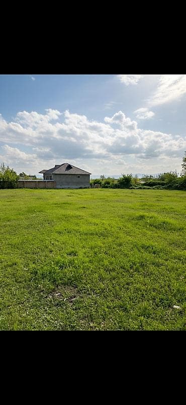 bine torpaq: 40 sot, Biznes üçün, Maklerlər narahat etməsin, Kupça (Çıxarış) — 3