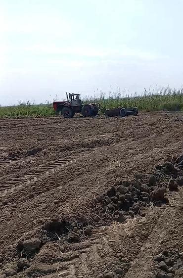 topdan teker satisi: Traktor t150, 1989 il, 150 at gücü, motor 6 l, İşlənmiş — 4