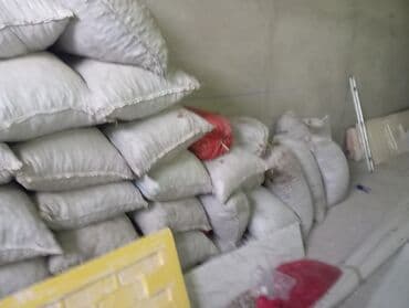 Süd məhsulları və yumurtalar: 2 tona yaxın badam var kilosu 2 manat toplu alana endirim olunacaq — 3