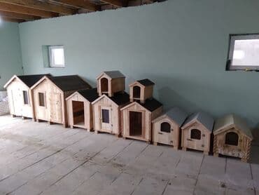 doşan şəkilləri: Taxta it evləri yeni yığılıb qiymət 35 dən başlayır — 2