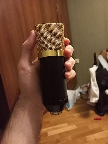 usb микрофон: Bm800 — 4
