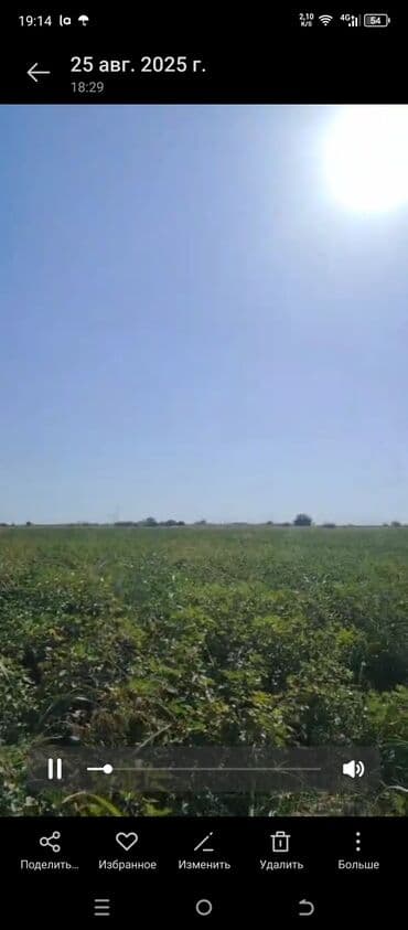 İnformatika: Kənd təsərrüfatı — 4