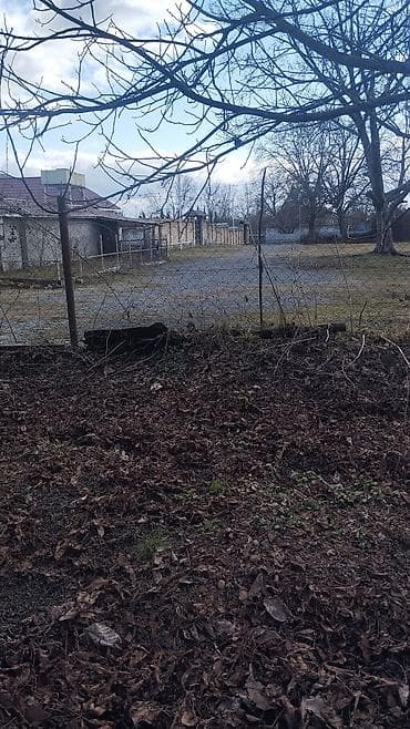 yasil dere torpaq: 10 sot, Tikinti, Maklerlər narahat etməsin, Kupça (Çıxarış) — 8