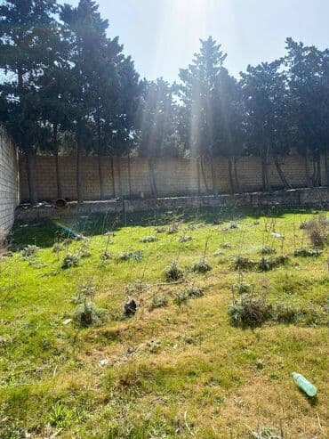 binə qəsəbəsi: 10 sot, Tikinti, Makler, Kupça (Çıxarış) — 7