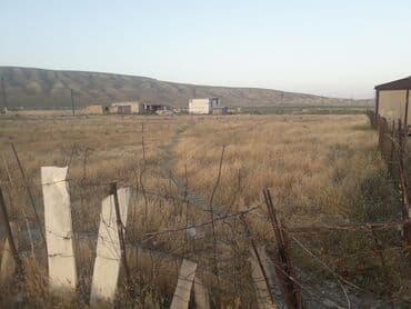 xacmaz torpaq: 42 sot, Kənd təsərrüfatı — 7