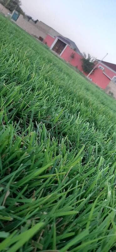 Salam qazon sifarisi catdirilma ve yere serilmesi unvana ve kvadrata