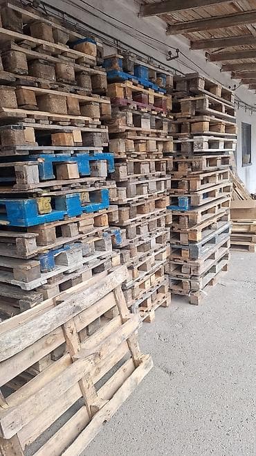 bide: Pallet, 800 х 1200 sm — 2