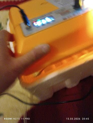 İnkubatorlar: Çin, Bütün növ quşlaq üçün — 7