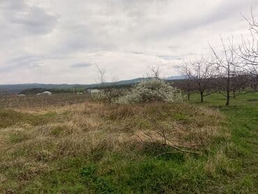 sumqayit kirayə: Kənd təsərrüfatı — 22